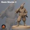 Kyoushuneko Samurai Ronin Warrior