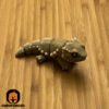 Mini Articulated Breaded Dragon Tan Toy Animal 3D Printed